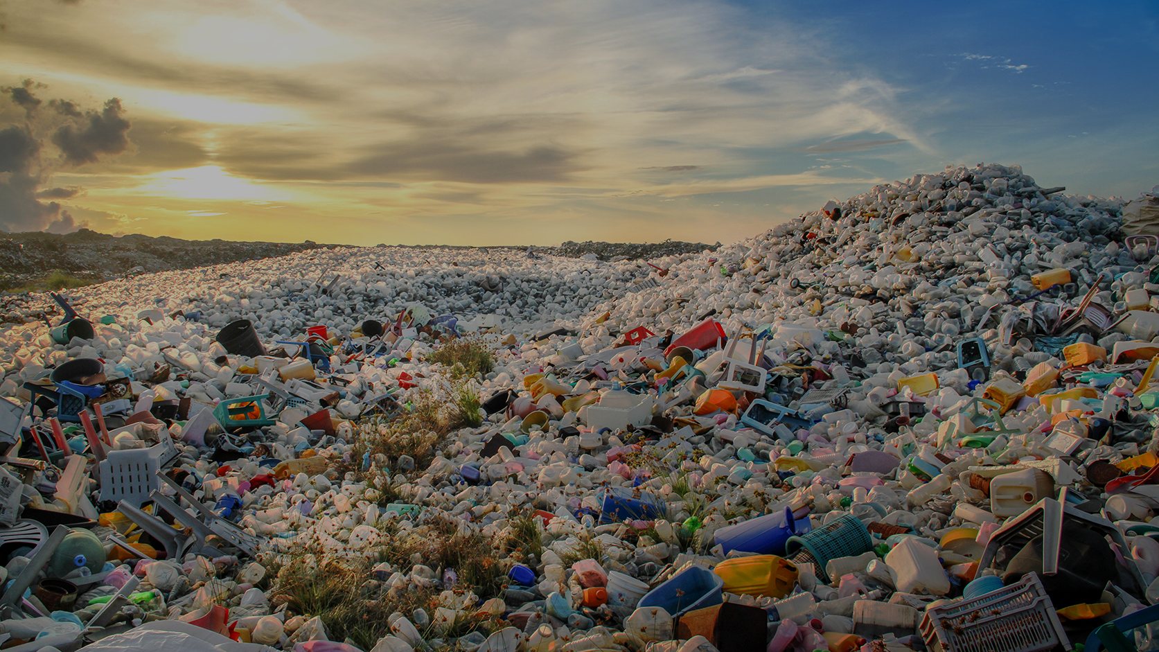 North West Waste Website Project